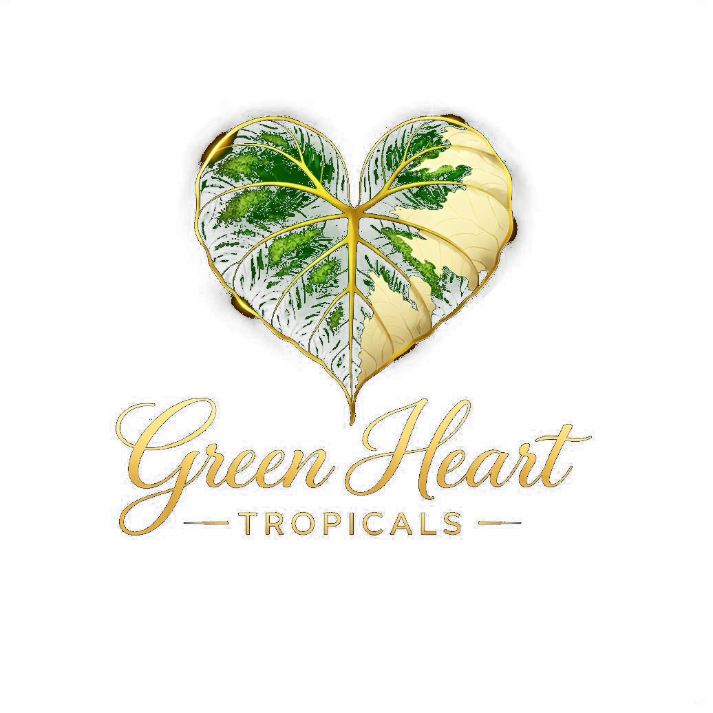 Green Heart Tropicals